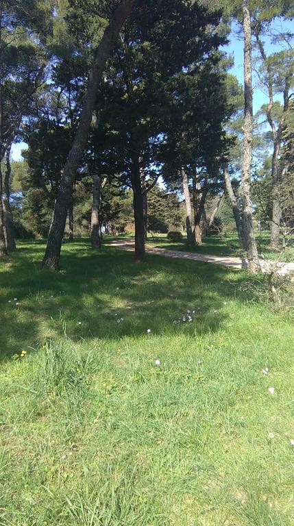 זאדאר Apartment Soldo מראה חיצוני תמונה